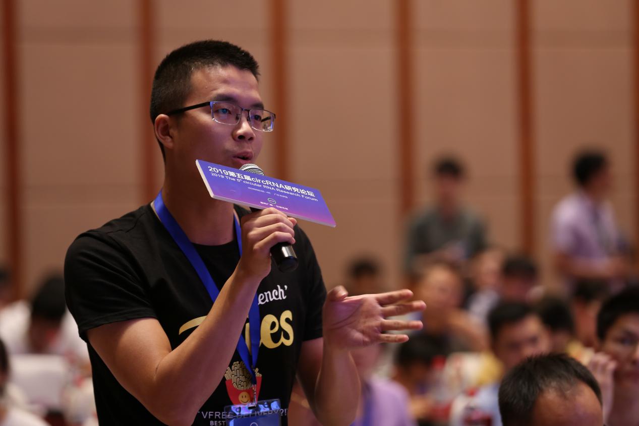 4D5A5031_wps图片