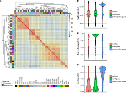 https://www.biorxiv.org/content/biorxiv/early/2019/09/10/764613/F4.medium.gif